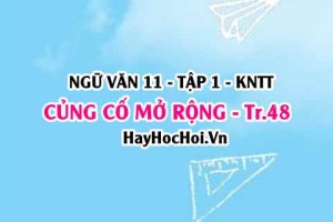 Soạn bài Củng cố, mở rộng trang 48 Ngữ văn lớp 11 Kết nối tri thức tập 1